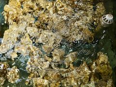 -金龙渔港(双楠店)