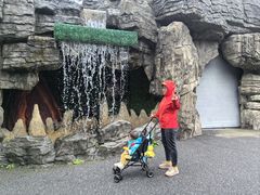 -自然谷恐龙园