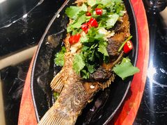 -东口码头·烧鸽子·鱼头泡饼·地方菜(金鹰悦城店)