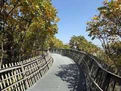 -福道