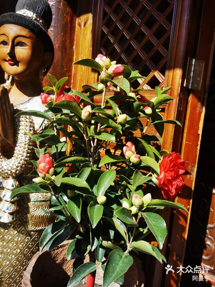 大理州花祝你春节快乐