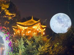 -巴倒烫陆派重庆火锅(南山店)