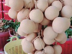 -东方鼎信农副产品交易中心