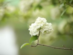 -尚贤河湿地