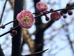 -重庆彩云湖湿地公园