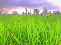 -温州龙湾国际机场