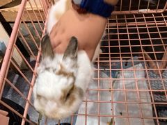 -天津zoonly动物主题公园