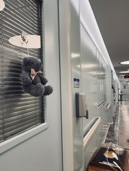 -杭州贝瑞斯美华妇儿医院·早孕·产检·儿科