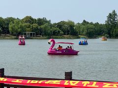 -上海长兴岛郊野公园