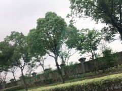 -安飞驰驾校·学车连锁(金高店)