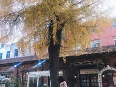 -秘密小花园(第三中学店)