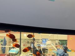 -牙博士口腔品牌连锁(杨浦店)