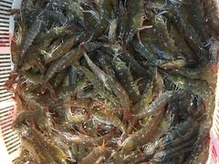 -海峡水产品交易中心(海鲜交易区)