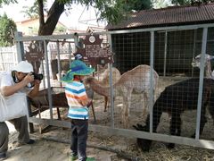 -意大利农场度假村