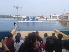 -秦皇岛乐岛海洋王国