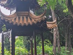 -嘉定紫藤园
