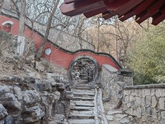 -大觉寺-停车场