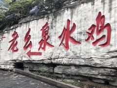 -老幺泉水鸡