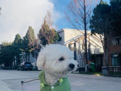 -小意思咖啡店(草桥店)