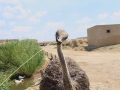 -水洞沟旅游区