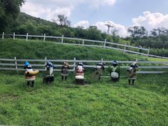 -大连铭湖国际观光牧场
