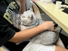 -Oasis绿洲银饰珍珠手作diy(壹方城店)