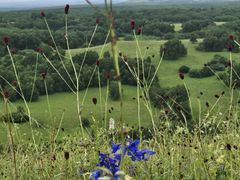 -塞罕坝国家级自然保护区