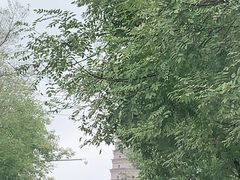 -法门文化景区
