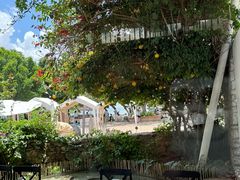 -大理老字号·舟渔的鱼野生菌海景餐厅(双廊店)