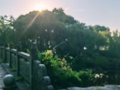 -日出青木