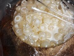 -椰爺爺·椰子冻砵仔糕