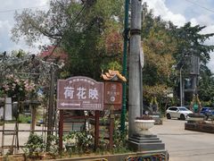 -西双版纳傣族园