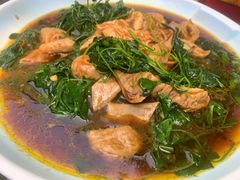 -张鸟园农家乐(张鸟园店)