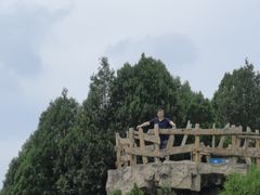 -铜川市金锁关石林