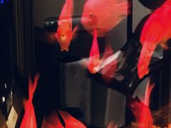 -雪茄客PURAVIDA俱乐部(上海店)