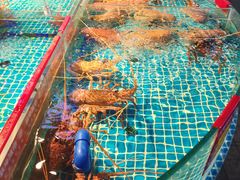 -驻海渔市(置信店)