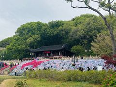 -苏州上方山国家森林公园