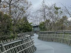 -福道