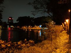 -荔湾湖公园