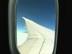 -新加坡航空公司(ION)