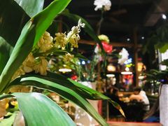 -NLFS1983咖啡花园餐厅(锦桂店)