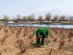 -羊亭河湿地公园