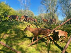-北京野生动物园