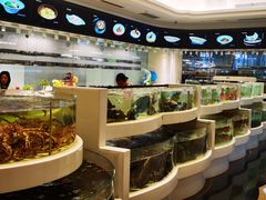 -上海白金汉爵大酒店(大零号湾国际会议中心店)