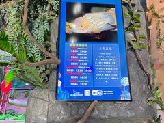 -合肥海洋世界