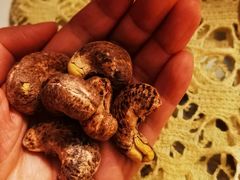 -鑫朱雀农贸批发市场