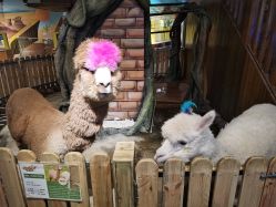 -哈尼鹿儿童乐园(兰州东瓯店)