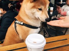 -星巴克(成都科学城店)