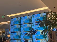 -桂满陇(虹桥天地店)