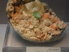 -湖南省地质博物馆